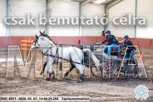 Mintakép 20260307-1142