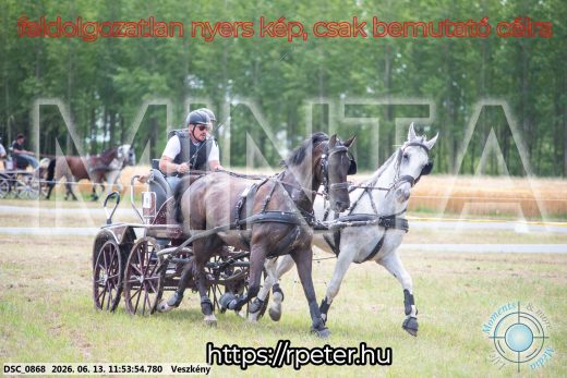 Mintakép 20260613-773