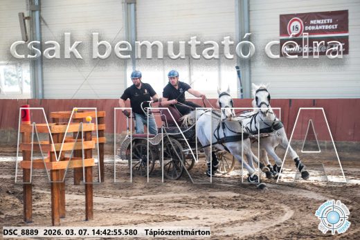 Mintakép 20260307-1158