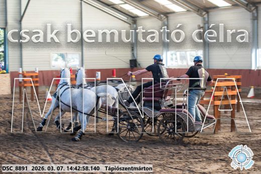 Mintakép 20260307-1159