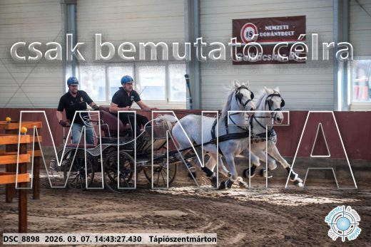 Mintakép 20260307-1165