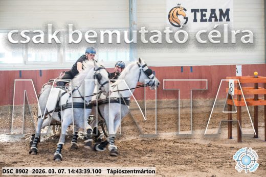 Mintakép 20260307-1169