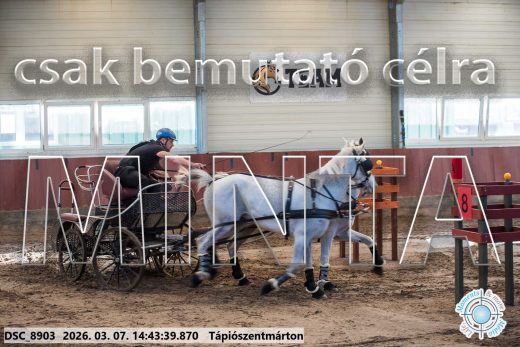 Mintakép 20260307-1170