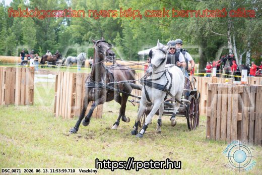 Mintakép 20260613-776