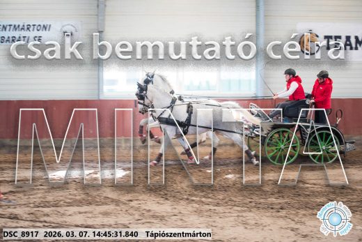 20260307-144531-DSC_8917.jpg
