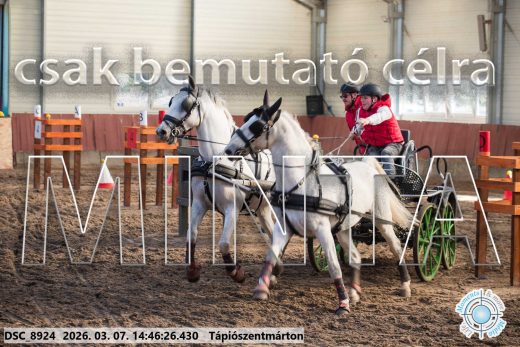 Mintakép 20260307-1187