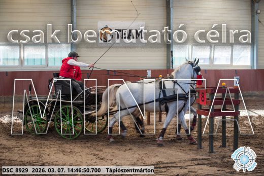 Mintakép 20260307-1192