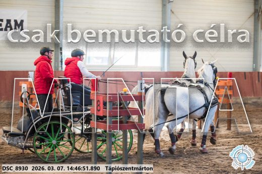 Mintakép 20260307-1193