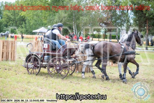 Mintakép 20260613-778