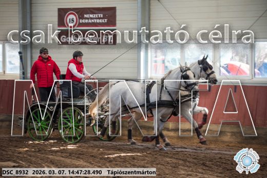 Mintakép 20260307-1195