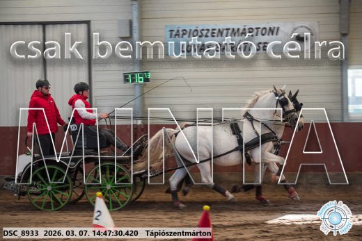 Mintakép 20260307-1196