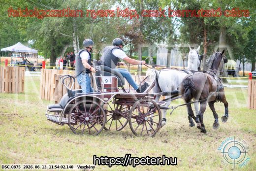 Mintakép 20260613-779