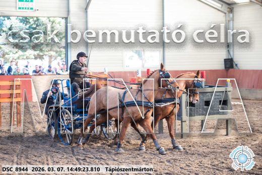 Mintakép 20260307-1206