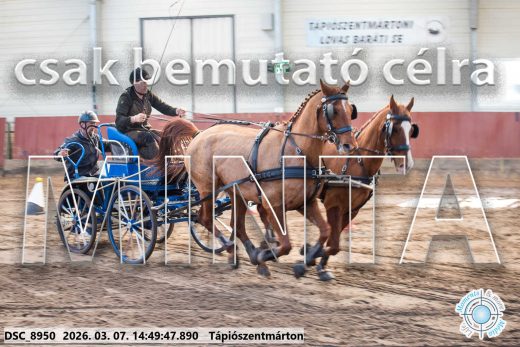 Mintakép 20260307-1211