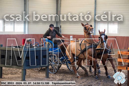 Mintakép 20260307-1214