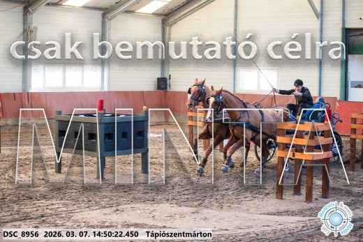 Mintakép 20260307-1217