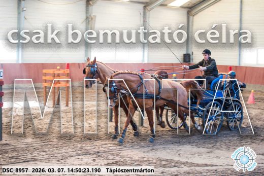 Mintakép 20260307-1218