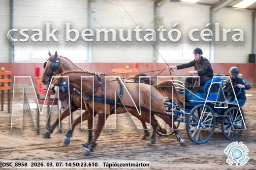 Mintakép 20260307-1219