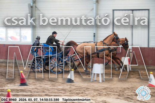 Mintakép 20260307-1221