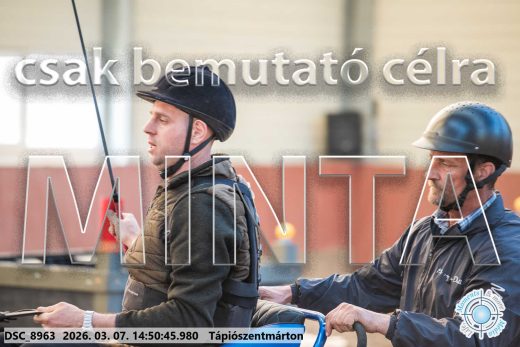 Mintakép 20260307-1222