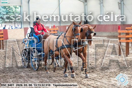 Mintakép 20260308-203