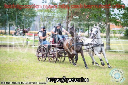 Mintakép 20260613-781