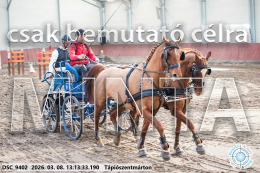 Mintakép 20260308-204