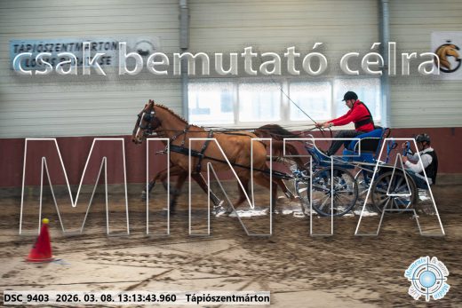 Mintakép 20260308-205