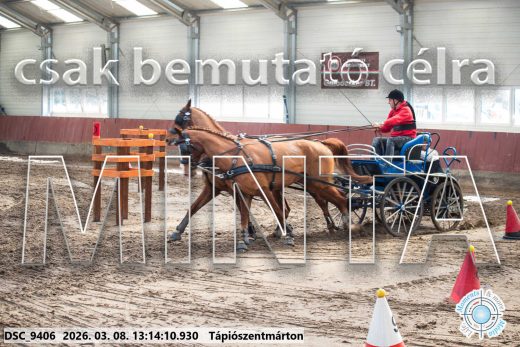 Mintakép 20260308-208
