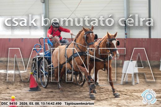Mintakép 20260308-211