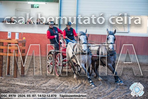 Mintakép 20260307-1229