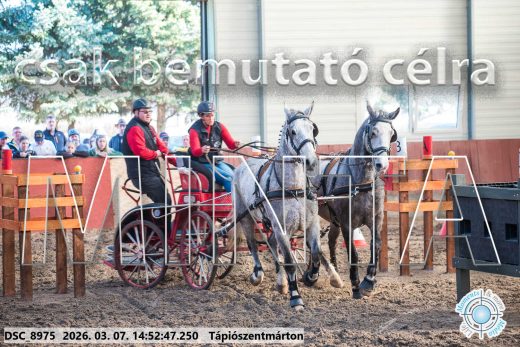 Mintakép 20260307-1233