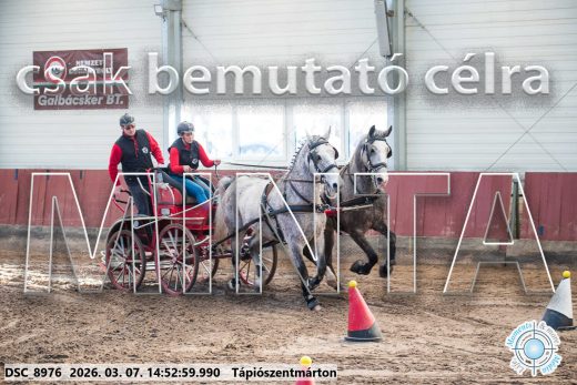 Mintakép 20260307-1234
