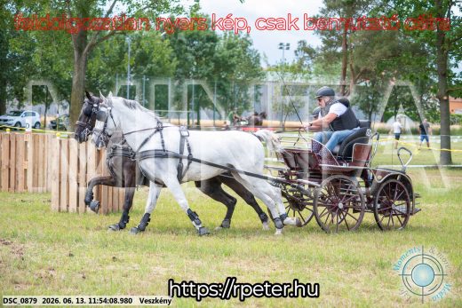 Mintakép 20260613-783