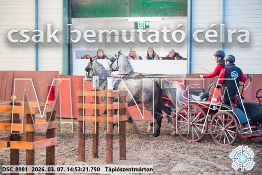 Mintakép 20260307-1239