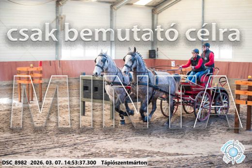 Mintakép 20260307-1240
