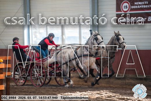 Mintakép 20260307-1242