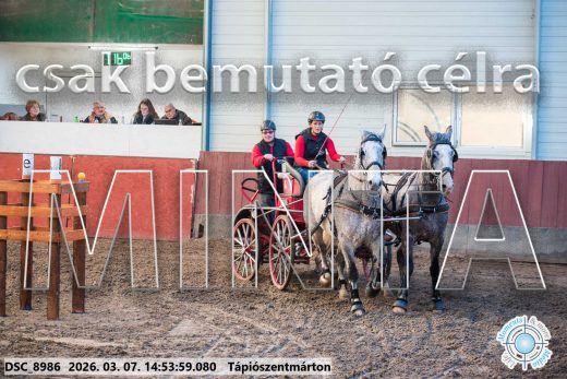Mintakép 20260307-1244