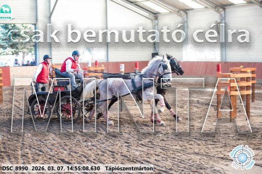 Mintakép 20260307-1248