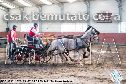 Mintakép 20260307-1249
