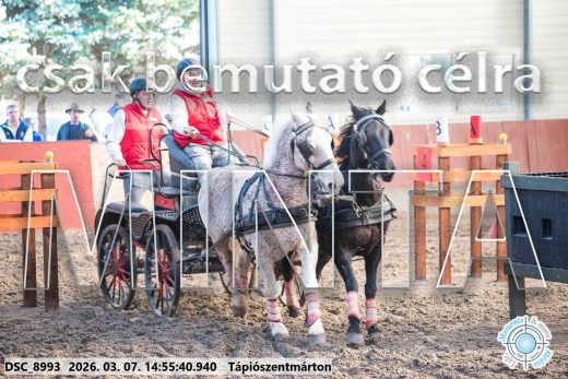 Mintakép 20260307-1251