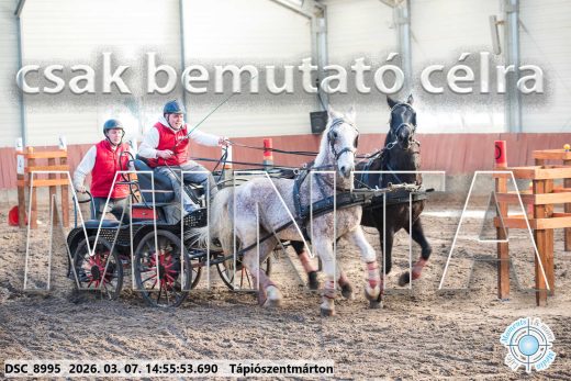 Mintakép 20260307-1253