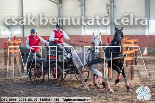 Mintakép 20260307-1254