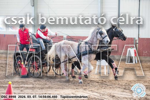 Mintakép 20260307-1255