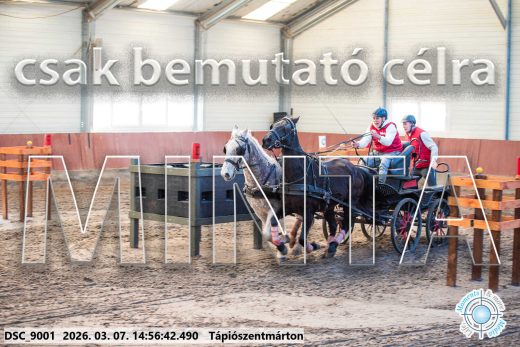 Mintakép 20260307-1257