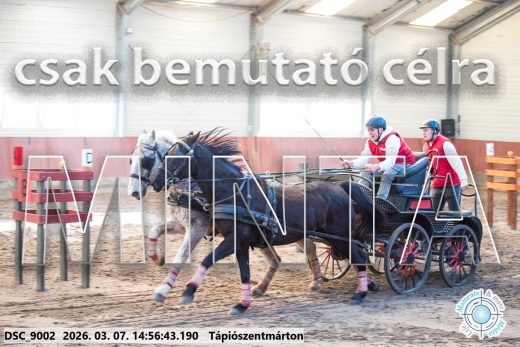 Mintakép 20260307-1258