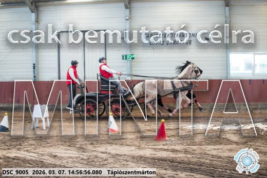 Mintakép 20260307-1260