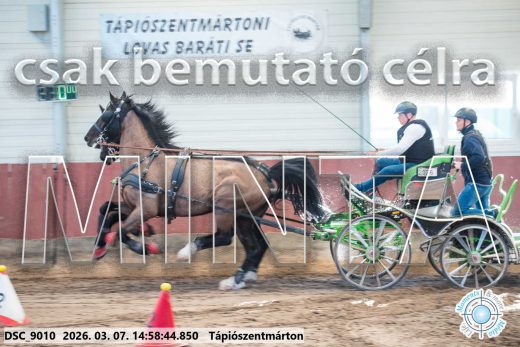 20260307-145844-DSC_9010.jpg