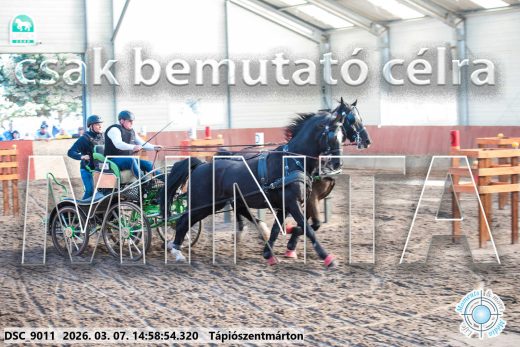 Mintakép 20260307-1266