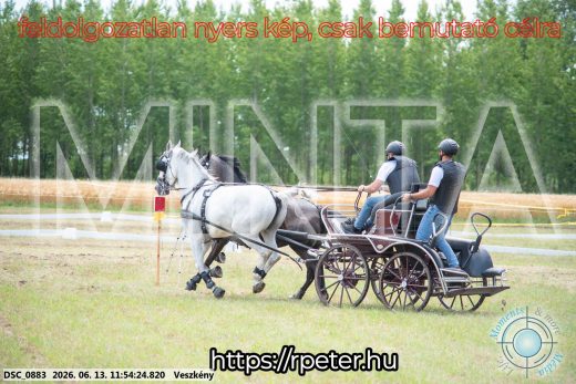 Mintakép 20260613-787